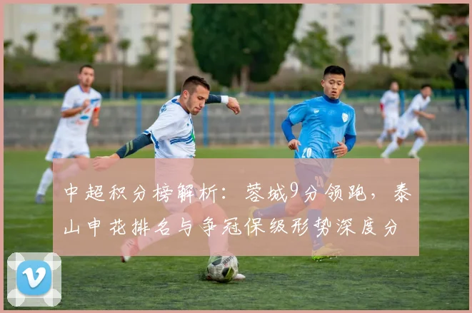 中超积分榜解析：蓉城9分领跑，泰山申花排名与争冠保级形势深度分析